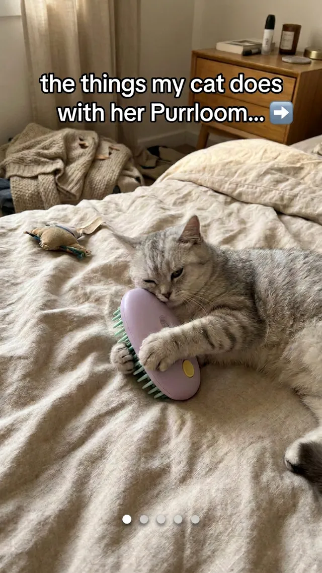 Purrloom cat brush TikTok slideshow ad